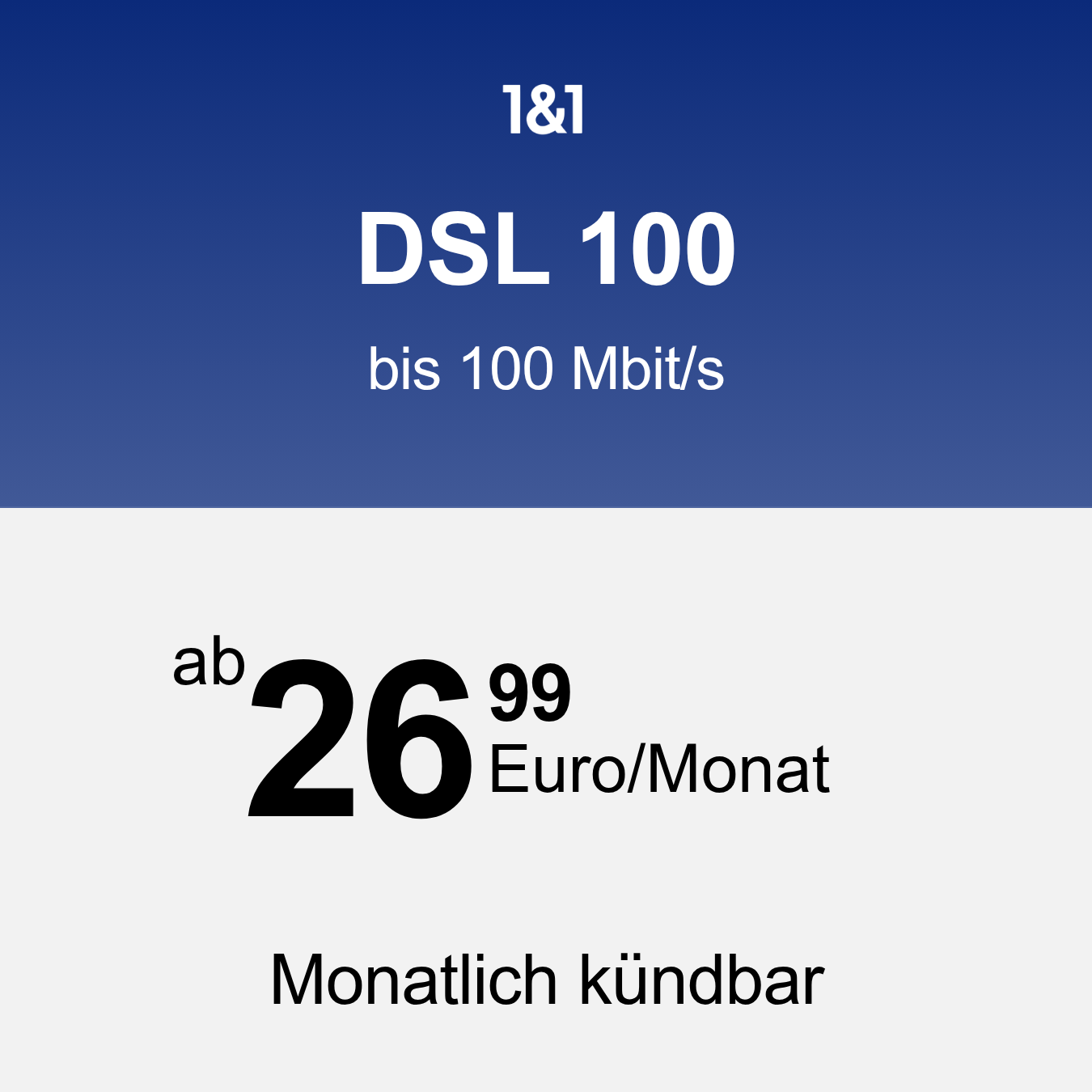 DSL 100 MBit/s Internet Plus